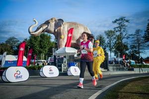 BIB: 
                            <button type="button" onclick="openModal(26541731)" class="btn btn-primary btn-sm float-right btn-popup" data-toggle="modal" data-target=".modal-high-quality">
                        <i class="fas fa-shopping-cart"></i> Add to Cart
                    </button>
                                            <button type="button" onclick="isThisMe(26541731, true)" class="btn btn-success btn-sm float-right btn-popup btn-isme hidden" data-toggle="tooltip" data-placement="bottom" title="นี่คือรูปของคุณใช่ไหม คลิกที่นี่เพื่อเอาเข้าอัลบั้ม">
                        <i class="fas fa-plus"></i> Add to album
                    </button>
                    <button type="button" onclick="isThisMe(26541731, false)" class="btn btn-warning btn-sm float-right btn-popup btn-isnotme hidden">
                        <i class="fas fa-ban"></i> Remove from album
                    </button>